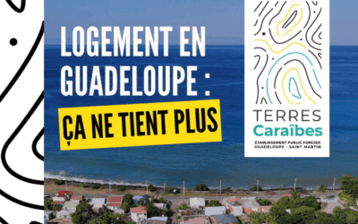 Terres Caraïbes alerte sur les défis structurels du logement en Guadeloupe