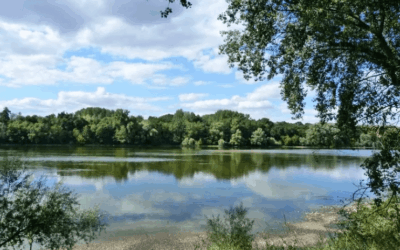 L’EPFLI Foncier Coeur de France et ses partenaires engagés pour la préservation et la gestion écologique des bords de Loire