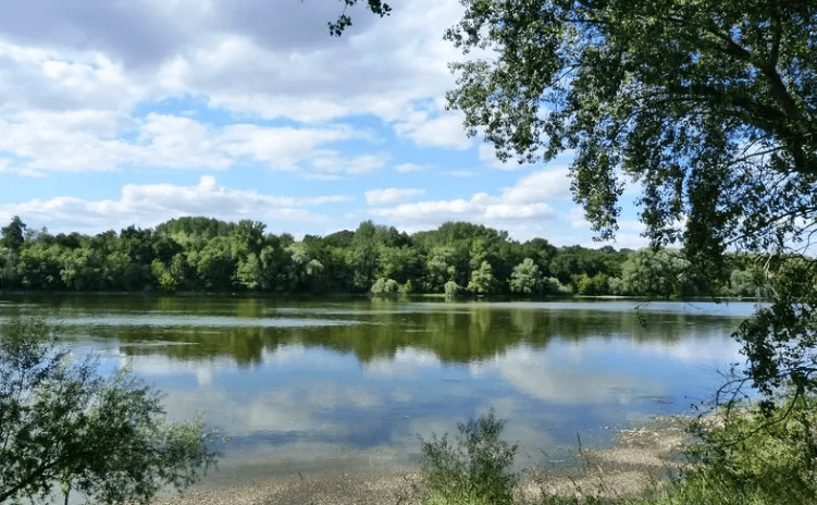 L’EPFLI Foncier Coeur de France et ses partenaires engagés pour la préservation et la gestion écologique des bords de Loire