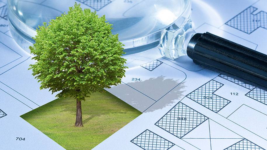 Territorialisation de la planification écologique : un rapport parlementaire qui confirme le rôle stratégique des EPFL