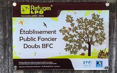 L’engagement de l’EPF Doubs Bourgogne-Franche-Comté en faveur de la biodiversité